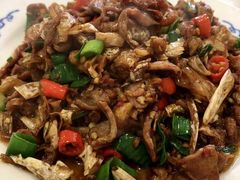 白辣椒炒鸡胗-新新湘菜馆(新中街二条店)