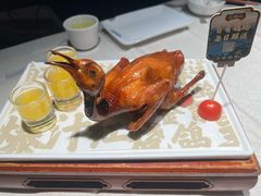 -大鸽饭(动物园店)