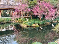 -杭州开元森泊度假乐园