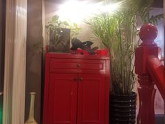 -HIGH FIVE哈福手工汉堡(桂林路店)