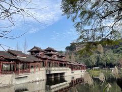 -重庆彩云湖湿地公园