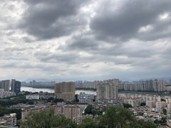 -福道