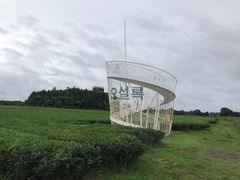 -雪绿茶博物馆