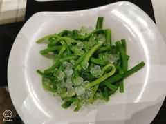 贡菜-掂档潮汕牛肉火锅(cityon熙地港店)