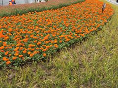 -重庆彩云湖湿地公园