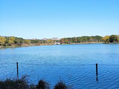 -昆山城市生态森林公园