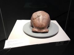-北京周口店北京人遗址博物馆