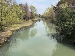 -贡湖湾湿地公园