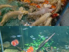 -常州海昌海洋探索馆