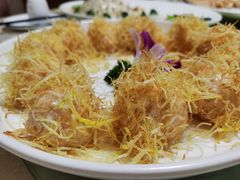 -丁老爷子苏香圆