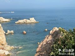 -养马岛旅游度假区