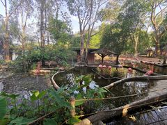 -清迈夜间动物园