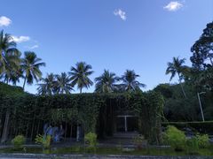 -中国科学院西双版纳热带植物园