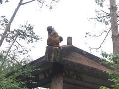 -广州市流溪河国家森林公园