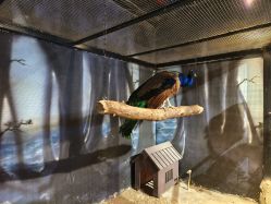 -酷嗒动物文化乐园(cutezoo西溪乐天城店)