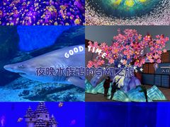 -海合安武汉极地海洋公园