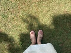 -济南森林公园