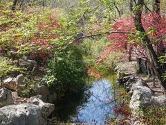 -大伊山景区