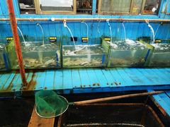 -蓝湾碧波·老字号·疍家非遗海上餐厅