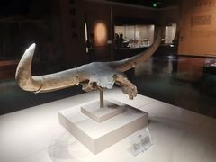-宁夏博物馆
