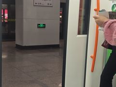 -杨高南路(地铁站)