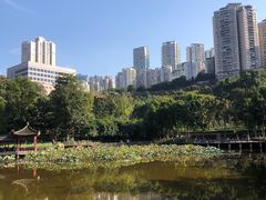 -龙头寺公园