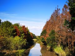 -上海长兴岛郊野公园