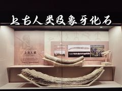 -淮安市博物馆
