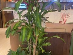 -荷花亭·湖北融合菜(十堰武商MALL店)