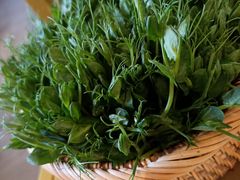 -木王宴语·野生鲜菌火锅(玉河店)