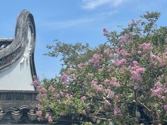 -上海醉白池公园