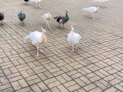 -鄱阳湖国家湿地公园