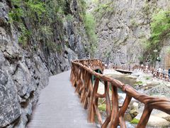 -王莽岭风景区