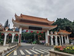 -深圳仙湖植物园