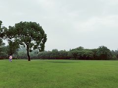 -上海滨江森林公园