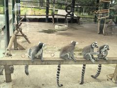 -水上乐园·欢乐世界