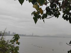 -深圳湾公园(南山区)