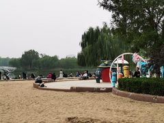 -大兴滨河森林公园