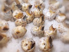 -喜哥湛江生蚝餐厅(沿江中路店)