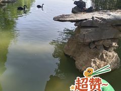 -洛阳市隋唐城遗址植物园
