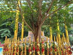 -西双版纳勐泐文化旅游区