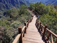 -大岭沟猕猴桃谷风景区