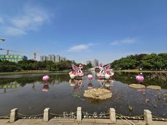 -映月湖公园