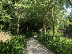 -广州白江湖森林公园