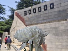 -侵华日军南京大屠杀遇难同胞纪念馆