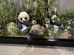 -将军府·鸡毛店(武侯祠店)