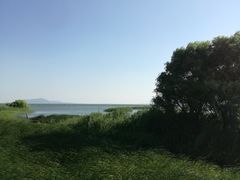 -太湖湖滨国家湿地公园-停车场