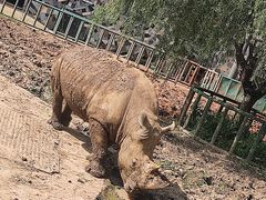 -哈尔滨北方森林动物园