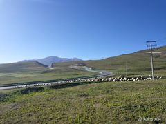 -青海湖国家重点风景名胜区