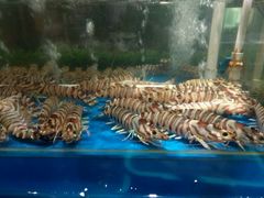 -海蓝海鲜馆(五四北店)